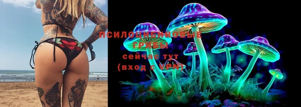 твердый Бугульма
