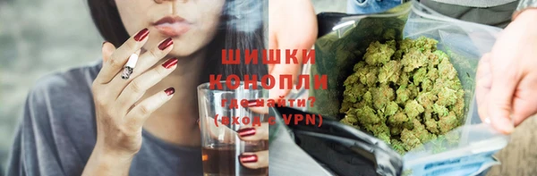 PSILOCYBIN Бронницы
