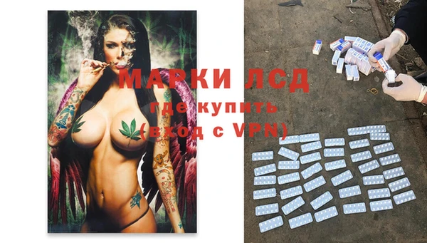 PSILOCYBIN Бронницы