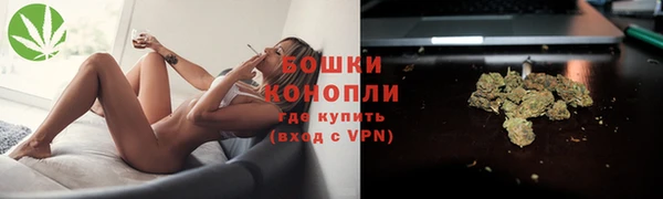 PSILOCYBIN Бронницы