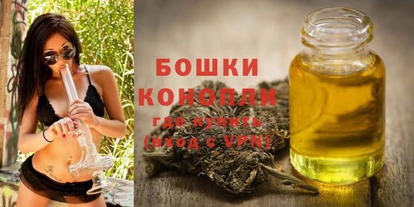 PSILOCYBIN Бронницы