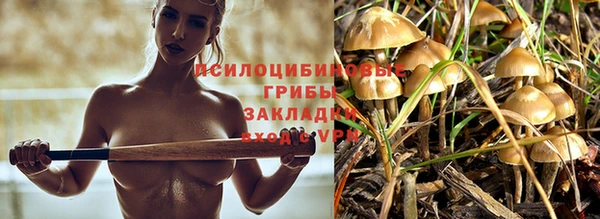 твердый Бугульма