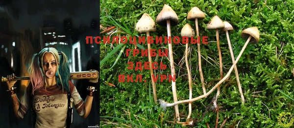 PSILOCYBIN Бронницы