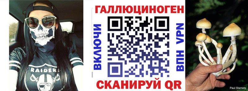 Псилоцибиновые грибы Psilocybe  Купить где  Пересвет 